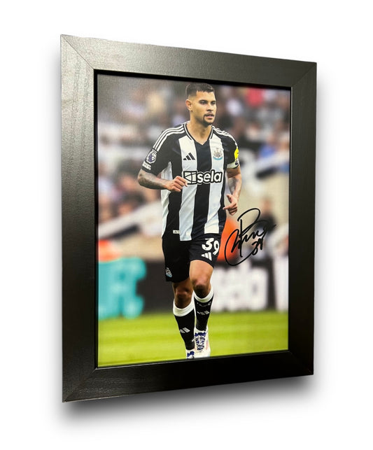 NUFC Bruno Guimares A4 framed print 24/25