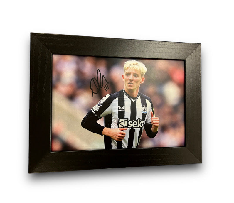 NUFC Anthony Gordon A4 framed print 23/24