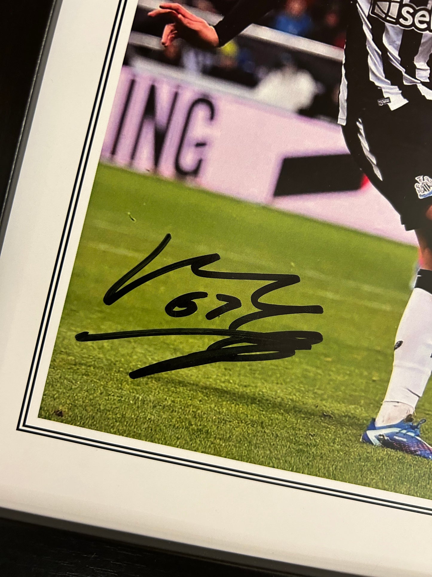 Lewis Miley First Goal Newcastle United v Fulham personally signed with photo proof.